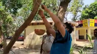 जयसिंहपुर: द्वारिकागंज में कटका क्लब सामाजिक संस्था के द्वारा सार्वजनिक स्थानों पर पक्षी जल पात्र का वितरण किया गया