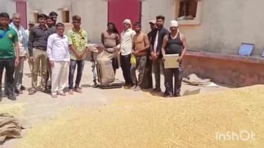 नटेरन: सरकारी समर्थन मूल्य पर 12 मई तक स्लॉट बुक कर किसान बेच सकते हैं गेहूं, विदिशा जिला कलेक्टर ने जारी किया आदेश