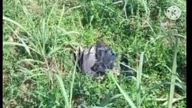 करेली: समिपी सूरना गांव में मिली एक युवक की लाश, जांच में जुटी सिहोरा थाना पुलिस