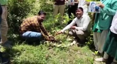 बैतूल नगर: जिला मुख्यालय पर दिवंगत संविदा स्वास्थ्य कर्मचारियों की स्मृति में किया गया पौधारोपण