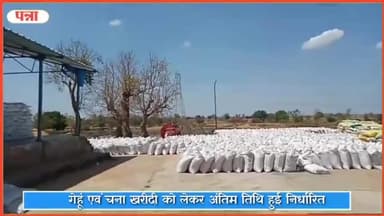 पन्ना: जिले में गेहूं एवं चना खरीदी को लेकर अंतिम तिथि हुई निर्धारित, 15 मई तक चलेगी गेहूं खरीदी