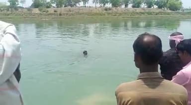 यूपी बलरामपुर ललिया थाना क्षेत्र के शुकाली जोत बीते शाम शौच के लिए निकली युवती आयशा लापता पुलिस व ग्रामीण द्वारा खोजबीन