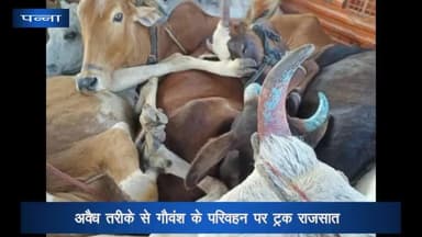 देवेंद्रनगर: अवैध तरीके से गौवंश के परिवहन पर ट्रक राजसात, कलेक्टर संजय कुमार मिश्र ने जारी किए निर्देश