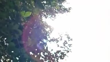 होशंगाबाद नगर: नर्मदा पुरम जिले में 5 दिनों तक बढ़ेगा तापमान मोचा तूफान का असर नहीं