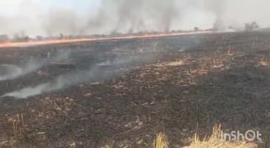 नटेरन: ग्राम हीरापुर जीरापुर के बीच स्थित गेंहू के खेत की नरवाई में अज्ञात कारणों से लगी आग, फायर ब्रिगेड ने पाया काबू