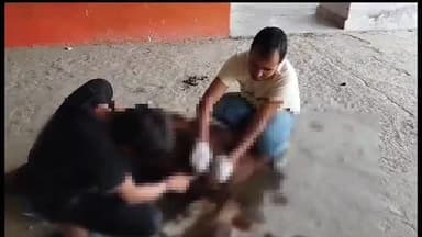 पावटा: अज्ञात वाहन की टक्कर से गोवंश हुआ घायल,ग्रामीणों ने करवाया उपचार