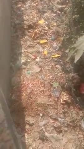 ये नाला में कूड़ा देख रहे हैं आप ये वार्ड 41 बम्बा सब्जी मंडी के पास का है नगर निगम को कोई फर्क ही नही पड़ता हैं