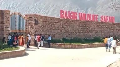 राजगीर: वन विभाग के द्वारा मेंटेनेंस के कार्य को लेकर आज राजगीर में जू सफारी एवं नेचर सफारी पार्क पूरा दिन रहेगा बंद