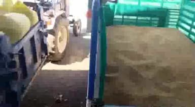 कसरावद: निमरानी कृषि उप मंडी में गेंहू के 99 वाहनों की रही आवक, गेंहू का उच्चतम भाव रहा ₹2370 प्रति क्विंटल