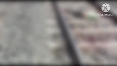 रहुई: श्रमजीवी ट्रेन से कटकर छात्र की हुई दर्दनाक मौत। घटनास्थल से छात्र का एडमिट कार्ड बरामद।सोहसराय हाल्ट के पास की घटना