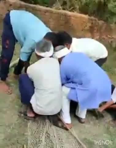 गोंडा: सहजनवा में लंबे समय से आतंक मचाने वाले बंदर को वन विभाग की टीम ने पकड़कर जंगल में छोड़ा