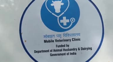 नरसिंहपुर: पशुपालन एवं डेयरी विभाग में 7 पशु एंबुलेंस की मिली सौगात राज्यसभा सांसद और पशु संवर्धन बोर्ड अध्यक्ष ने दिखाई हरी झंडी