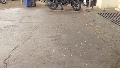 नांगल राजावतान: तहसील क्षेत्र में जोरदार बारिश के साथ में गिरे चने के बराबर ओले