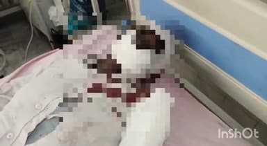 मुरादाबाद: सिविल लाइन थाना क्षेत्र में तेज रफ्तार अज्ञात वाहन ने युवक को मारी टक्कर, युवक गंभीर रूप से हुआ घायल