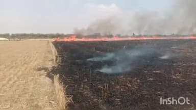 नटेरन: ग्राम हीरापुर में गेंहू के खेत की नरवाई में अज्ञात कारणों के चलते लगी आग, मौके पर पहुंची फायर ब्रिगेड ने आग पर पाया काबू