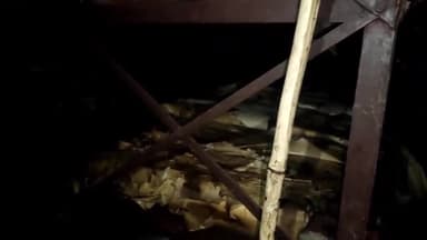 हज़ारीबाग: कचहरी परिसर स्थित नक्शा गोदाम में आगजनी के मामले में अज्ञात पर केस दर्ज