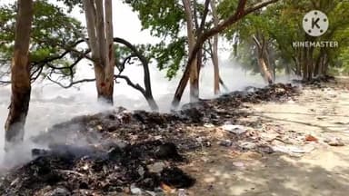 आंदर: असामाजिक तत्वों ने आंदर हाई स्कूल के समीप नहर के किनारे कचरे के अंबार में लगाई आग, दर्जनों हरे पेड़ झुलसे