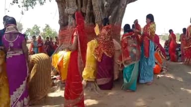 कटकमदाग: सलगावां सहित विभिन्न गांवों में सुहागिन महिलाओं ने की वट सावित्री की पूजा