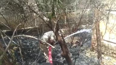 बीकानेर: पवनपुरी स्थित एक बाड़े में लगी आग, पाया गया काबू