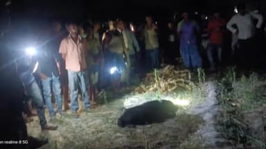 जंदाहा: हरप्रसाद गांव से 9 वर्षीय बच्ची के शव बरामदगी के मामले में जांच हेतु घटनास्थल पर पहुंची डॉग स्क्वाड एवं FSL की टीम