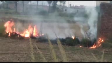 सिलाव: सिलाव के नहर पर खेत में जलाया गया पराली, सरकारी आदेश का नही हो रहा है पालन