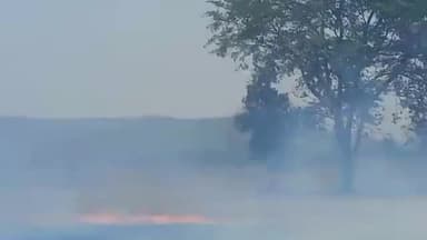 ଅମ୍ବାଭୋନା: ବଡମାଲ ଗ୍ରାମ ନିକଟରେ ଲାଗିଲା ଭୟଙ୍କର ନିଆଁ ; ଆୟତ୍ତ କଲେ ଗ୍ରାମବାସୀ