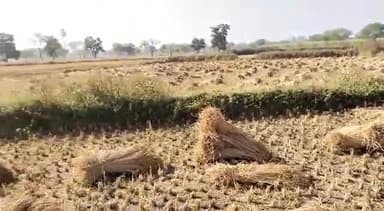 कवर्धा: जिले में न्याय योजनाओं से किसान, गौपालक-गोबर विक्रेता, भूमिहीन मजदूरों के खातों में आई करोड़ो रुपए