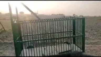 बलरामपुर: भुजईपुरवा गांव के पास तेंदुआ पकड़ने को लेकर वन विभाग की टीम ने लगाया पिंजड़ा