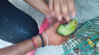 कानपुर: किदवई नगर के राकेश प्रोविजनल स्टोर में लगी आग में फंसे 3 लोगों के साथ पालतू कुत्ता और तोता को फायर ब्रिगेड ने बचाया