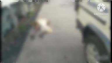 लाडपुरा: रेलवे स्टेशन यार्ड में वंदे भारत ट्रेन के बाहर मिला बुजुर्ग व्यक्ति का शव पुलिस ने रखवाया MBS अस्पताल की मोर्चरी पर