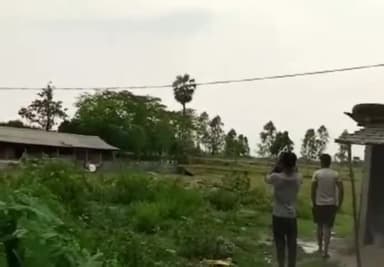 पूर्णिया पूर्व: महेंद्रपुर गांव में ठनका गिरने से तार के पेड़ में लगी आग, देखने वालो की लगी भीड़