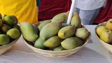 ବରଗଡ: ଜିଲ୍ଲା ସୂଚନା ଓ ଲୋକସମ୍ପର୍କ ବିଭାଗ ପକ୍ଷରୁ ବରଗଡ଼ର 'ଗାଁ ଆମ୍ବ ପସରା' ଭୁବନେଶ୍ୱରରେ ଉପଲବ୍ଧ ଥିବା ନେଇ ସୂଚନା