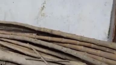 बोखड़ा: बनौल उर्दू स्कूल बंद मामले में शिक्षकों का एक दिन का वेतन स्थगित, मांगा स्पष्टीकरण