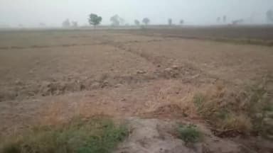 अलेवा: बोहतवाला गांव के खेत में दंपति ने झगड़े में तोड़ा महिला का दांत, पुलिस ने मामला किया दर्ज