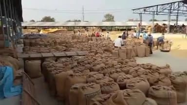 होशंगाबाद नगर: कृषि उपज मंडी नर्मदापुरम में 7 दिन का है नियम, 20 से 25 दिन के बाद भी किसानों को उपज का नहीं हो रहा है भुगतान