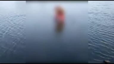 शाहनगर: रामपुर खजुरी में तालाब में तैरती मिली 6 वर्षीय नाबालिग लड़की की लाश, कल दोपहर 2 बजे से लापता थी लड़की