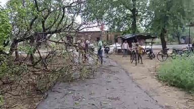 सलोन: तेज आंधी व बरसात के कारण से दिलावलपुर-रसीदपुर मार्ग पर गिरे पेड़, आवागमन हुआ बाधित