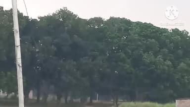 आंदर: प्रखंड के विभिन्न गांवों में तेज आंधी व बारिश के चलते घण्टों बिजली सप्लाई रही बाधित