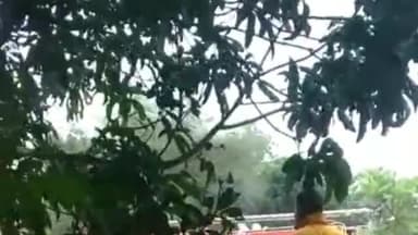 ଜଟଣୀ: ଖୁଦୁପୁର ଗ୍ରାମ୍ୟ ଜଙ୍ଗଲରେ ଲାଗିଥିବା ନିଆଁକୁ ଆୟତ୍ତ କଲା ଅଗ୍ନିଶମ ବାହିନୀ