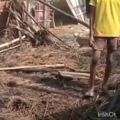 मुंगेर: तारापुर दियारा पंचायत के सिल्हा दास टोला में एक घर में आग लगने से एक महिला झुलसी, 2 बकरियों की हुई मौत