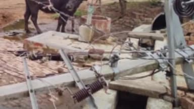 रामनगर: भयारा गांव में आंधी के कारण दो विद्युत पोल हुए धराशायी, विद्युत आपूर्ति हुई बाधित