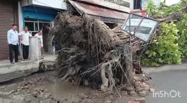 मुज़फ्फरनगर: थाना नई मंडी क्षेत्र के भोपा रोड स्थित श्री राम स्वीट्स के पास खड़ा विशालकाय पेड़ तेज आंधी के चलते गिरा