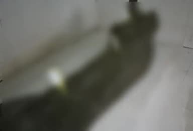 बहराइच: चितौरा के पास ट्रैक्टर के नीचे दबकर श्रमिक की हुई मौत, आज होगा पोस्टमार्टम