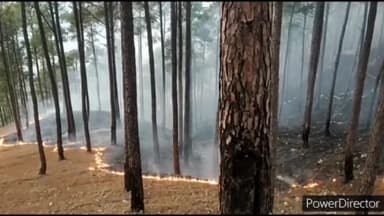 देहरादून: PCCF निशांत वर्मा ने राजपुर रोड स्थित वन मुख्यालय पर कहा: 455 जगहों पर हुई है वनाग्नि की घटनाएं