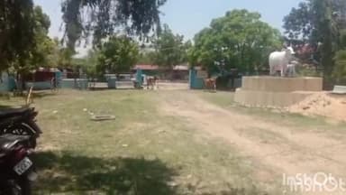 सिवनी: बायपास से कंटेनर में जा रहे मवेशियों को पुलिस ने बरामद कर भेजा गौशाला