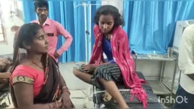 खगड़िया: भड़ास उत्तरी में जलावन उठाने के दौरान सर्पदंश से लड़की जख्मी, सदर अस्पताल में चल रहा उपचार