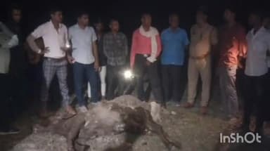 महसी: साईं गांव के पास बाइक सवार को बचाने के चक्कर में मवेशियों से भरा ट्रक अनियंत्रित होकर पलटा, चार पशुओं की मौत