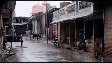 पिपलोदा: गांव जड़वासा में अचानक हुई बारिश के साथ गिरे ओले, किसानों की फसलों को हुआ नुकसान