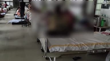 सिवनी: लखनवाड़ा में ट्रक ने बाइक को मारी टक्कर, बाइक सवार दो युवक हुए घायल