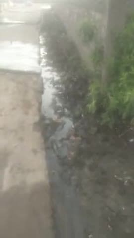 बीरपुर: nali saf safai Kary karm
gram telipura. 
plz support guys 
#viral #viralvideoतेजी #sharemarketopening #news1122